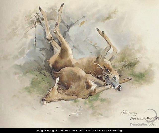 Dead Stags - William Woodhouse