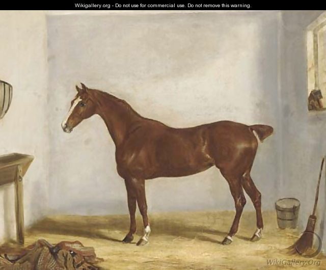 A chestnut hunter in a stable - William Webb