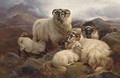Sheep on the Welsh hills - William Watson