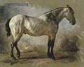 Yanko in the stable a white horse - Wouterus Verschuur