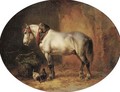 A grey in a stable - Wouterus Verschuur