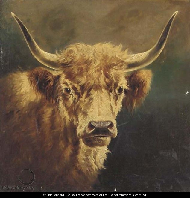 The head of a Highland cow - William Perring Hollyer
