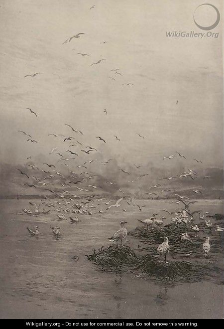 Gulls. Looking towards Cowes from the Hamble River - William Lionel Wyllie