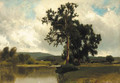 Summer Along the Lake - William M. Hart