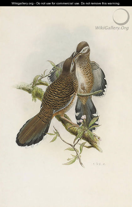 The Birds of Asia - William M. Hart