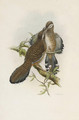 The Birds of Asia - William M. Hart