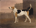 A Foxhound outside a Kennel - William Bazett Murray