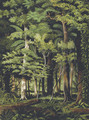 A Brazilian jungle - William Michaud