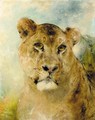 Head of a Lioness - William Huggins