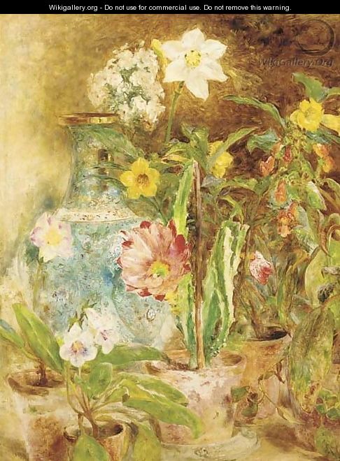 Castus and flowers - William Huggins