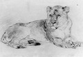 A lioness - William Huggins