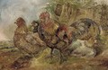 A cock and hens - William Huggins