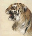 A Bengal tiger 2 - William Huggins