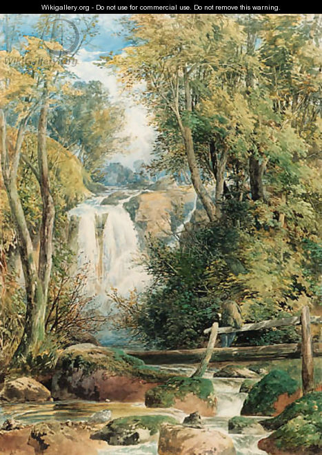 A forest waterfall, Swallow Falls, Lake District, Cumbria - William Hull