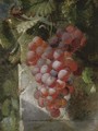 Grapes on the vine - William Hughes