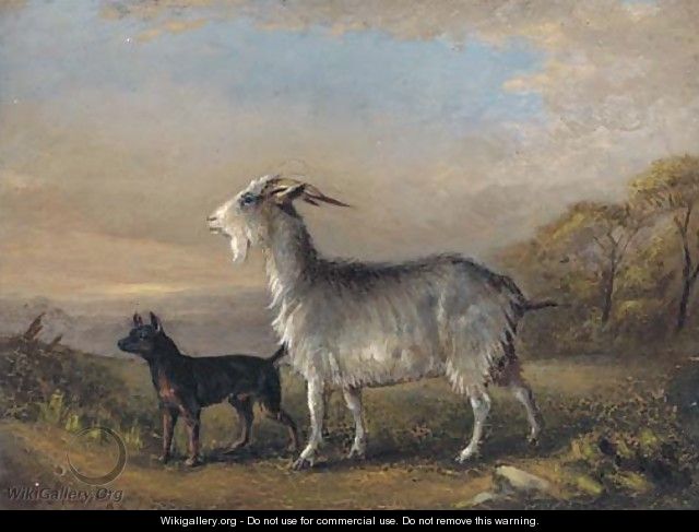 A goat and a terrier in a landscape - William Joseph Shayer