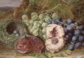 Grapes, a fig, peach and bird