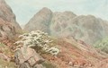 Raven Crag, Yewdale, Coniston - William Gersham Collingwood