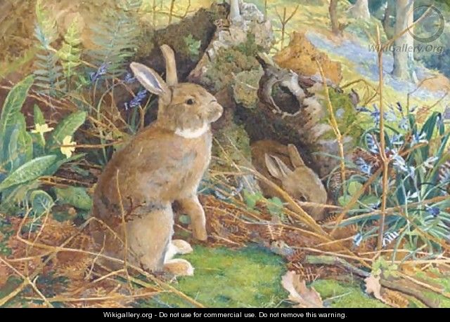 Rabbits in a wood - William Henry Millais