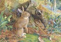 Rabbits in a wood - William Henry Millais