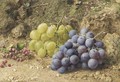 Still-life with white and black grapes and redcurrents - William Henry Hunt