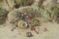 Still life of a shell and berries on a mossy bank - William Henry Hunt