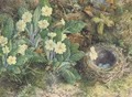 Primulas and a bird's nest on a mossy bank - William Henry Hunt