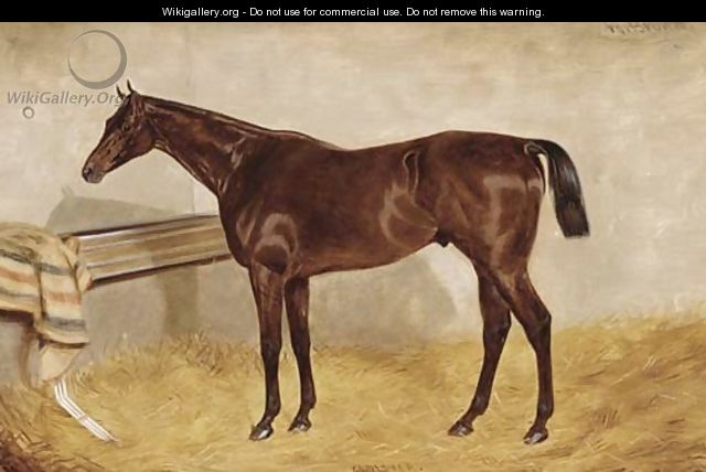 Cloister, a bay racehorse in a stable - William Brown