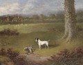 Venture, a prize fox terrier - William Eddowes Turner