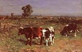 Cattle Grazing - Louis-Michel Hadengue
