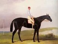 Ellinton A Dark Bay Racehorse With Tom Aldcroft - Harry Hall