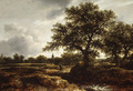 Landscape with a Village in the Distance 1646 - Jan van Goyen