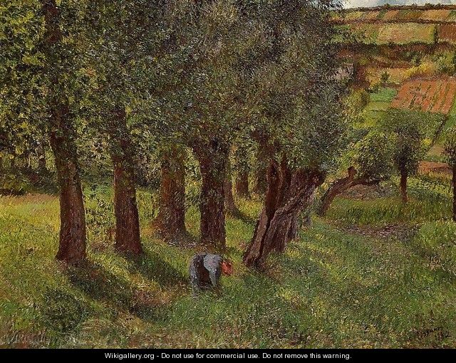 Le Chou a Pontoise (aka La Moussiere) 1882 - Camille Pissarro