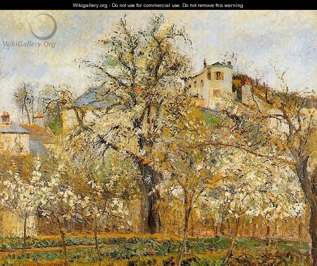 Kitchen Garden witih Trees in Flower Spring Pontoise 1877 - Camille Pissarro