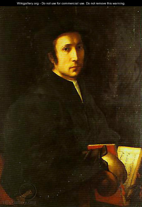 Portrait of a Musician - (Jacopo Carucci) Pontormo