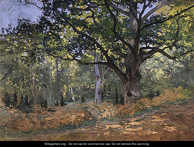 The Bodmer Oak Fontainebleau Forest 1865 - Claude Oscar Monet