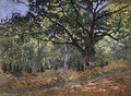 The Bodmer Oak Fontainebleau Forest 1865 - Claude Oscar Monet