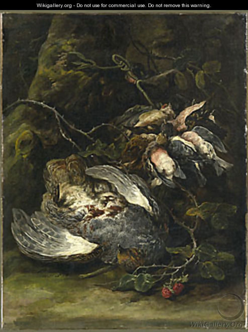 A Partridge and Small Game Birds 1650s - Jan Fyt