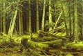 Wind Fallen Trees 1888 - Ivan Shishkin