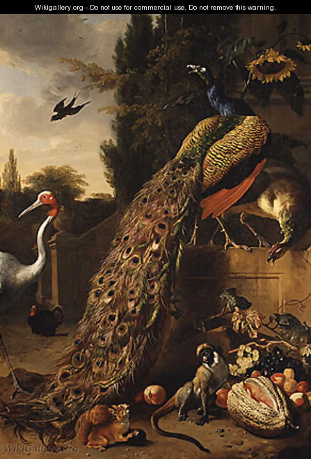 Peacocks - Melchior de Hondecoeter