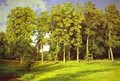 Grove By The Pond Preobrazhenskoye 1896 - Ivan Shishkin