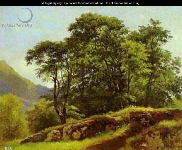 Beech Forest In Switzerland 1863 - Ivan Shishkin