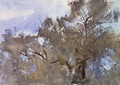 Treetops against Sky - John Singer Sargent