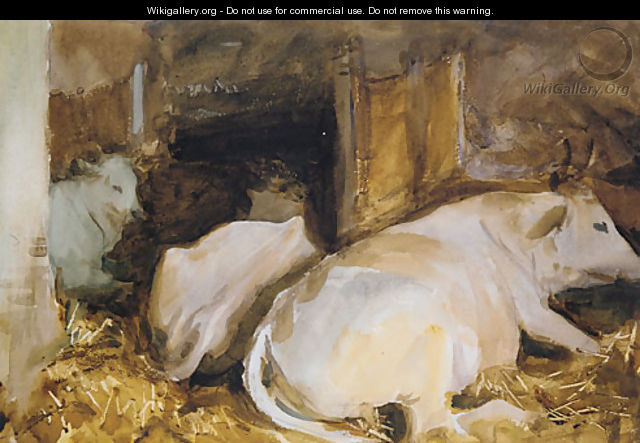 Three Oxen ca 1910 - John Singer Sargent