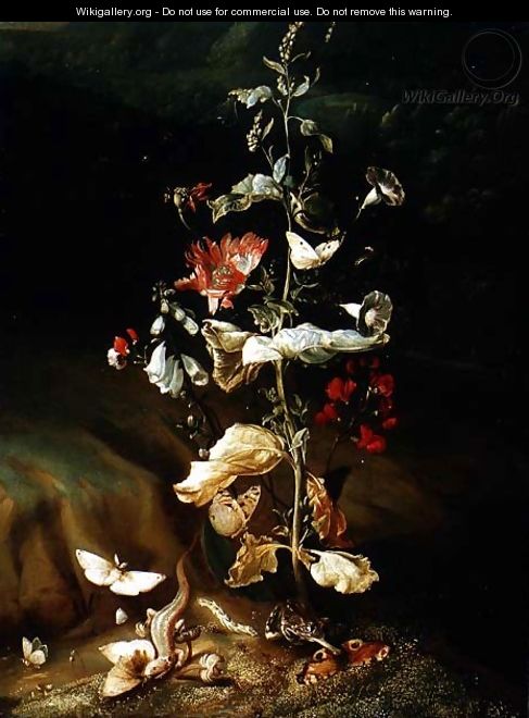 Still life with flowers - Otto Marseus Van Schrieck