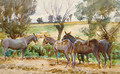 Mules 1918 - John Singer Sargent