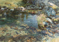 Alpine Pool 1907 - John Singer Sargent