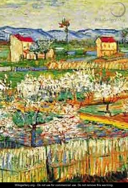 Peach Trees In Bloom 1888 - Vincent Van Gogh