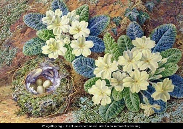 Primroses and a birds nest - Thomas Frederick Collier