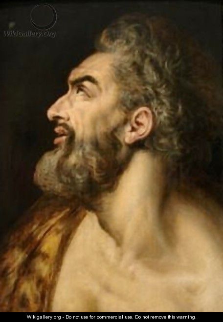 Study Head of a Bearded Man - Frans, the elder Floris